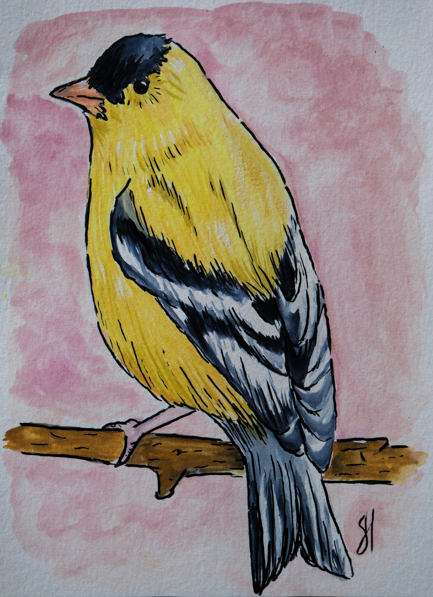 Gregory the Goldfinch Print