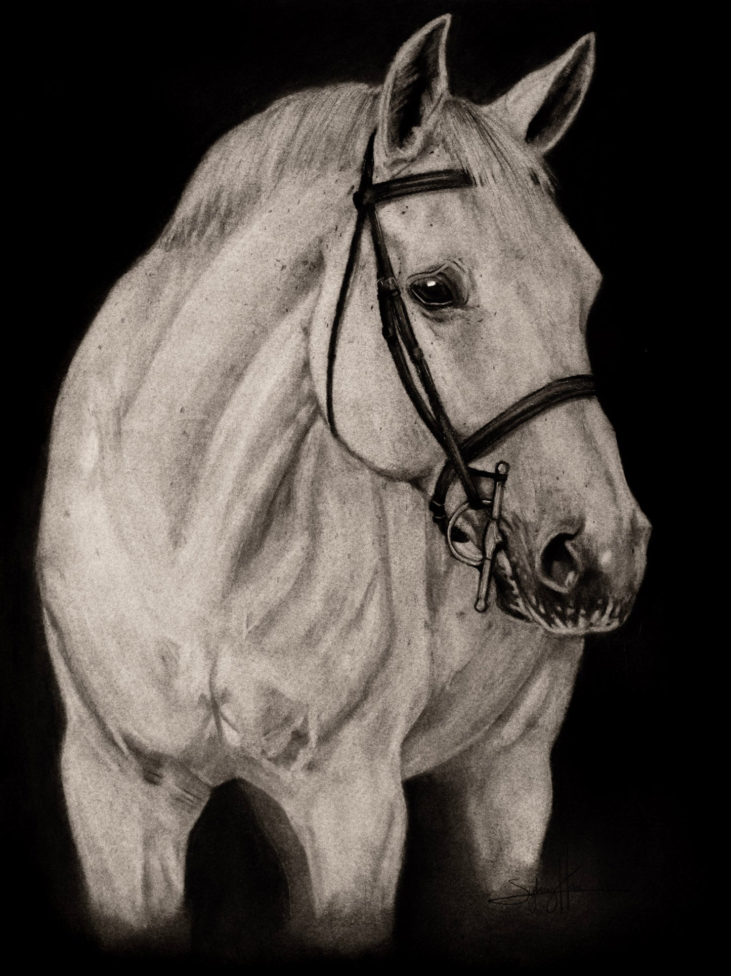 Horse in Charcoal Print
