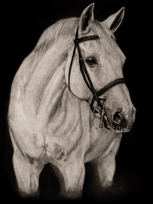 Horse in Charcoal Print